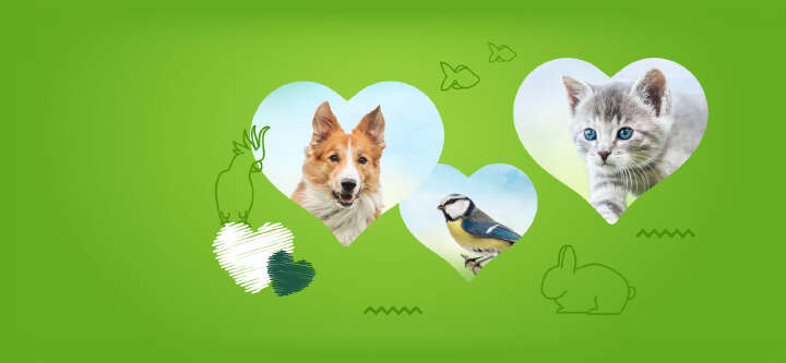 tierliebe sortiment themen e banner tierliebe sortiment themen e banner